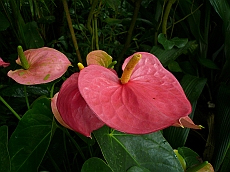 P1120019