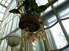 P1120020
