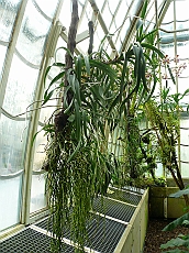 P1120021