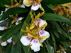 P1120022