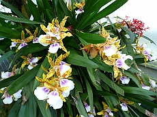 P1120024