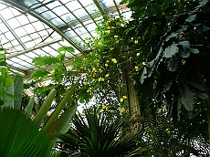 P1120025