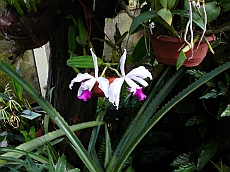 P1120026
