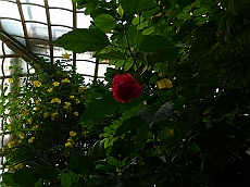 P1120028