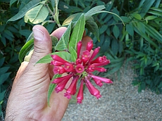 P1120029