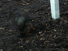 P1120030