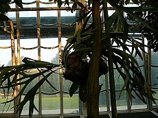 P1120032