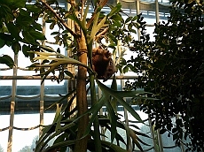 P1120033