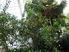 P1120034