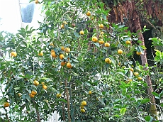 P1120035