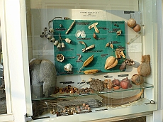 P1120037