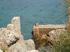 P1120174