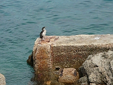 P1120178