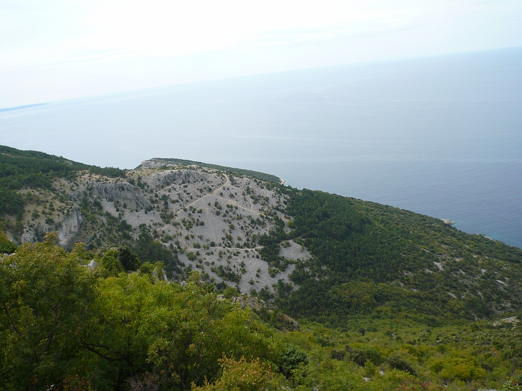 P1120199.JPG
