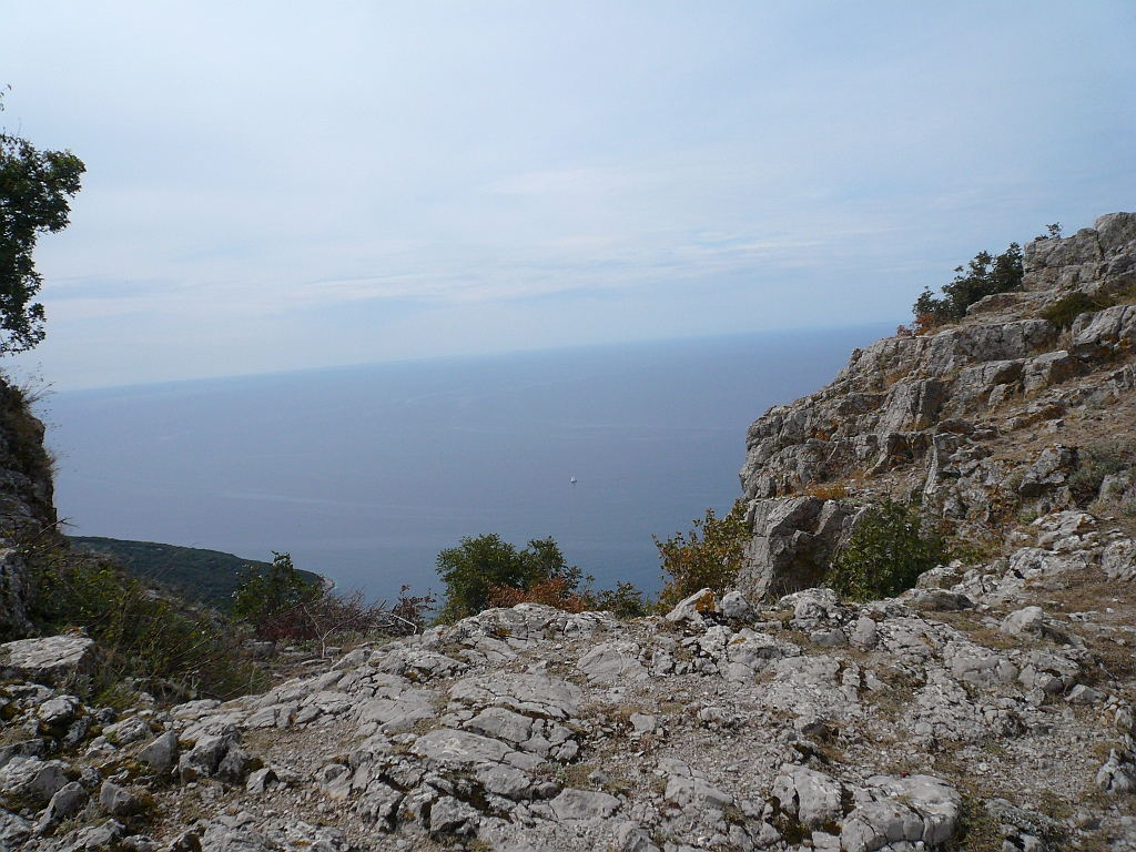 P1120214.JPG