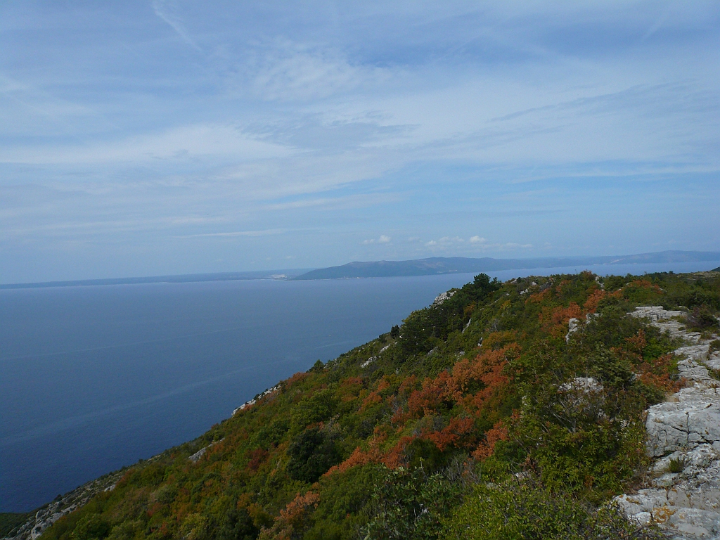 P1120220.JPG