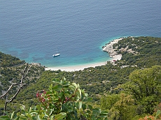 P1120229