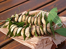 P1120247