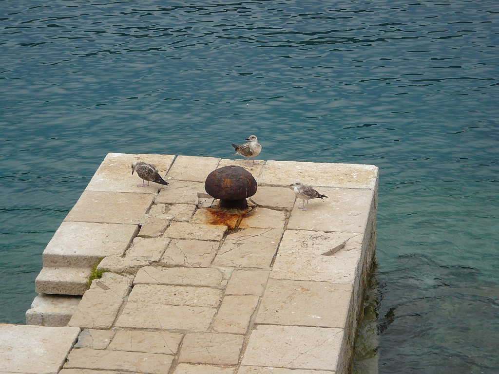 P1120299.JPG