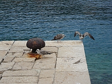 P1120306