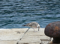 P1120318