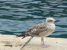 P1120320