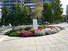 P1120536