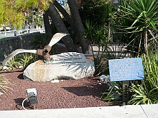 P1120544