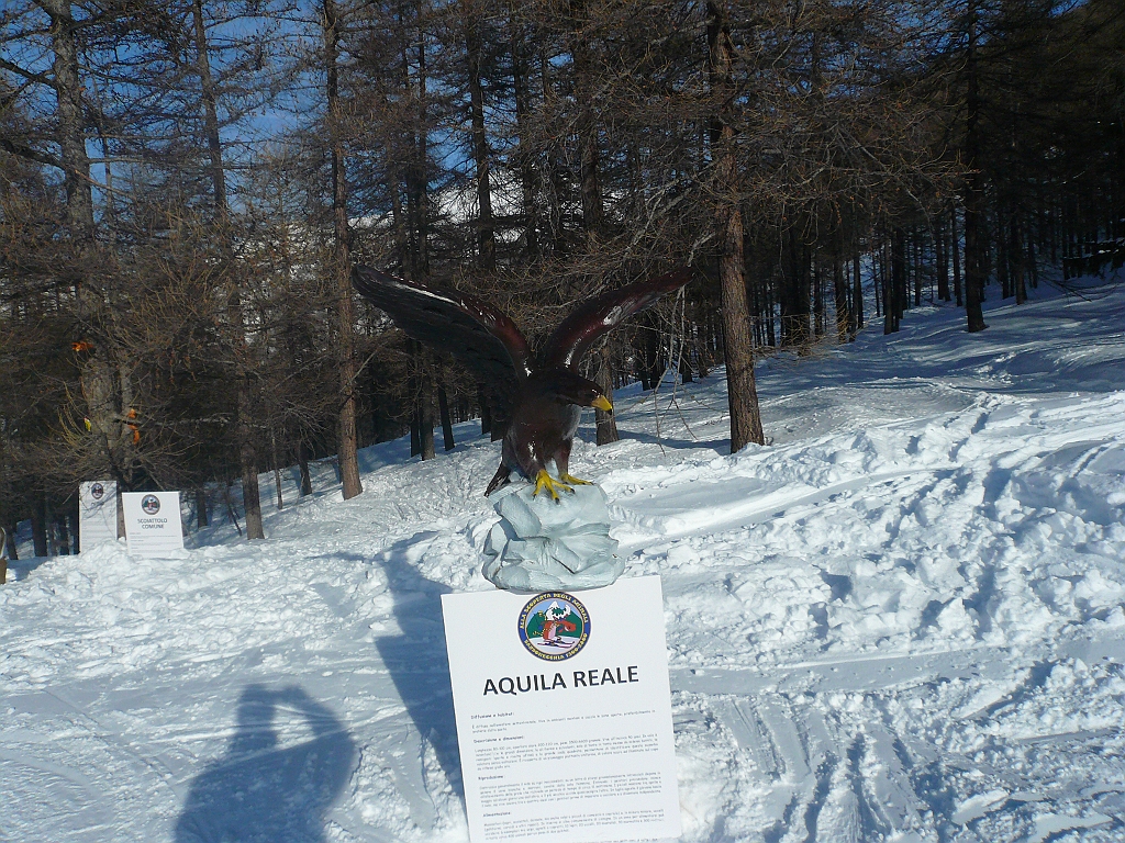 P1120814.JPG