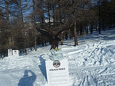 P1120814