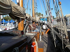 FIL436