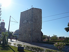P1050539