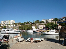 P1050561
