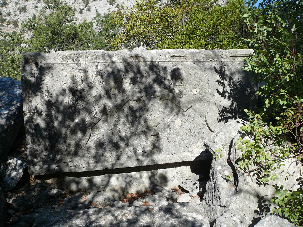 P1050663.JPG