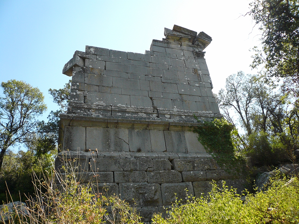 P1050746.JPG