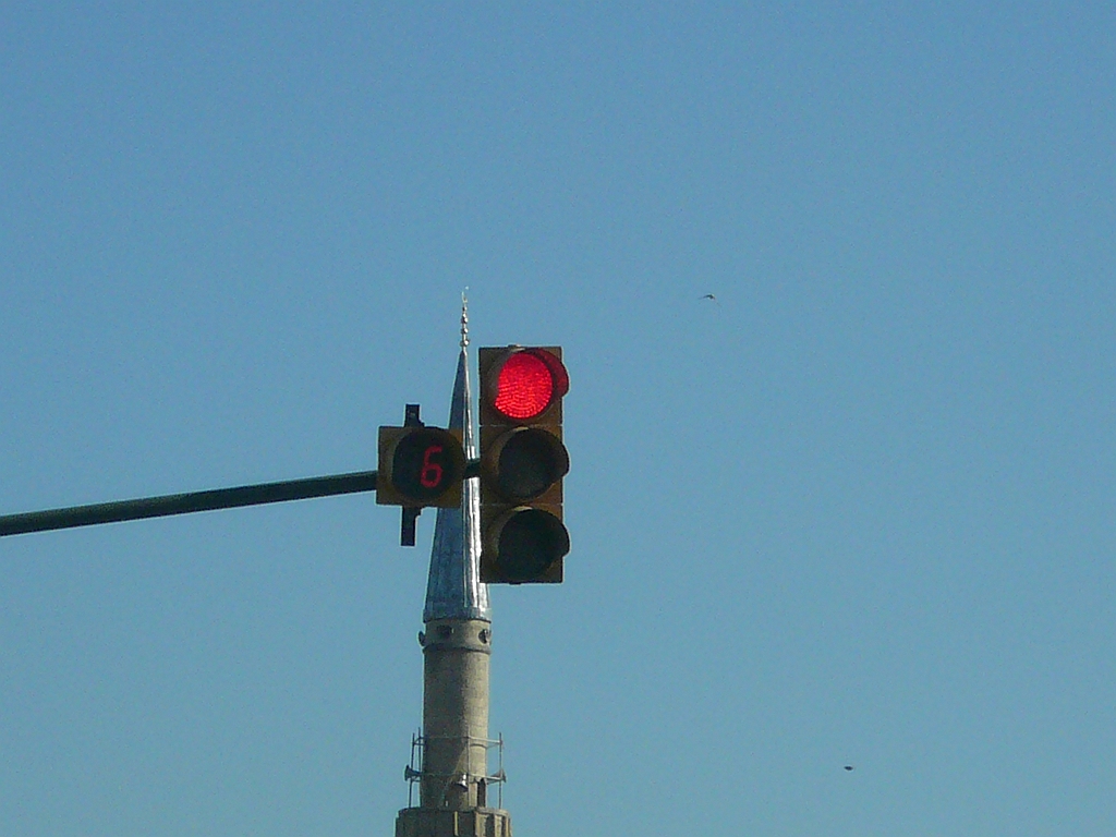 P1060010.JPG