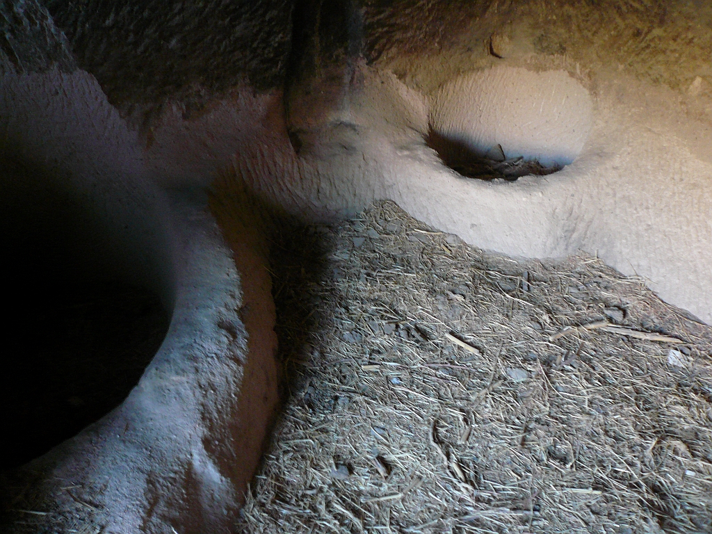P1060162.JPG