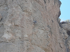 P1060297