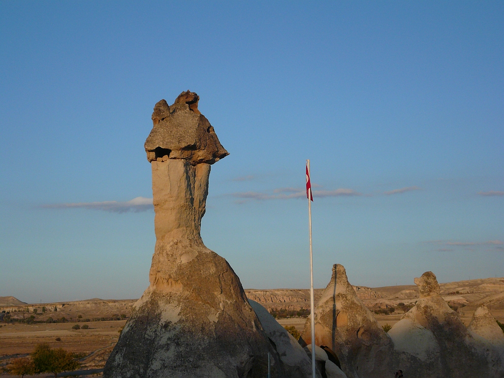 P1060564.JPG