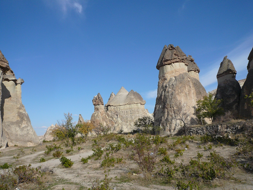 P1060744.JPG