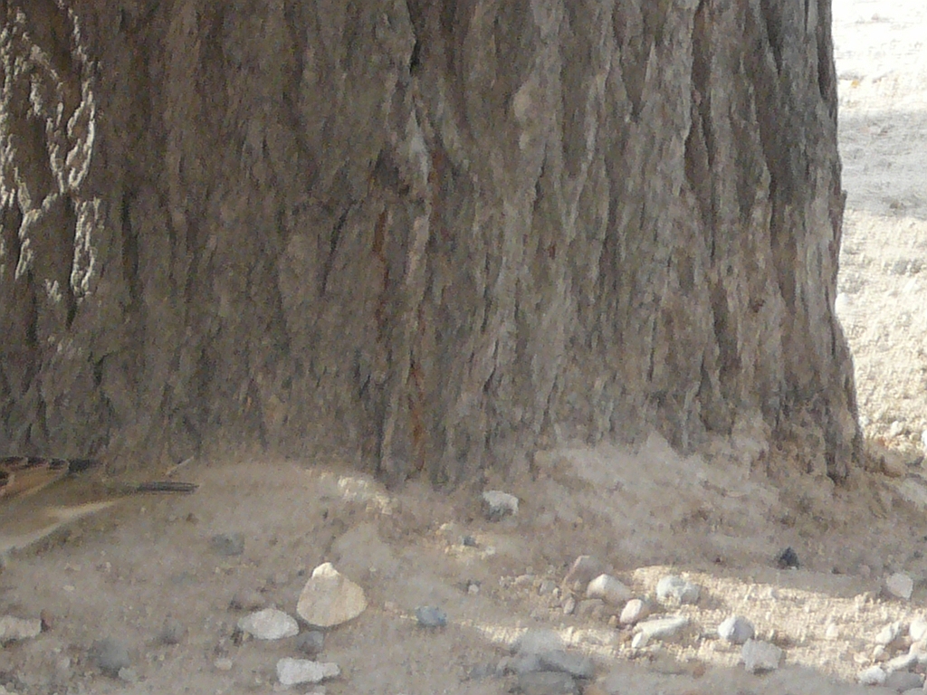 P1060763.JPG