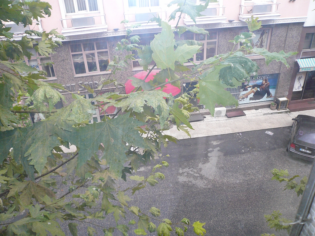P1060865.JPG
