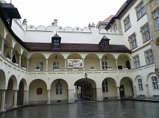 BRATI_1020798