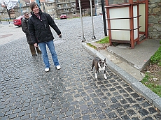 BRATI_1020838