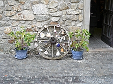 BRATI_1020847
