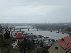 BRATI_1020849