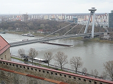 BRATI_1020850