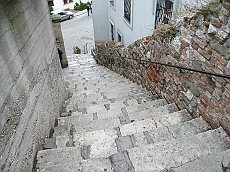 BRATI_1020879
