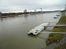 BRATI_1020951