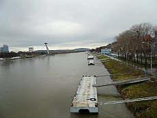 BRATI_1020953